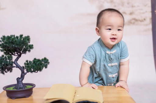 仁寿可爱的企鹅宝宝